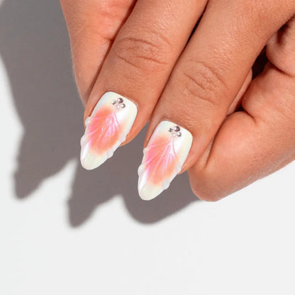 Seashell Glow